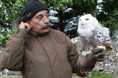 Pedro Soltani with a snowy owl at the annual Feile Anagaire on Sunday.