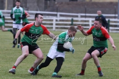 Naomh Muire V Doire Trasna